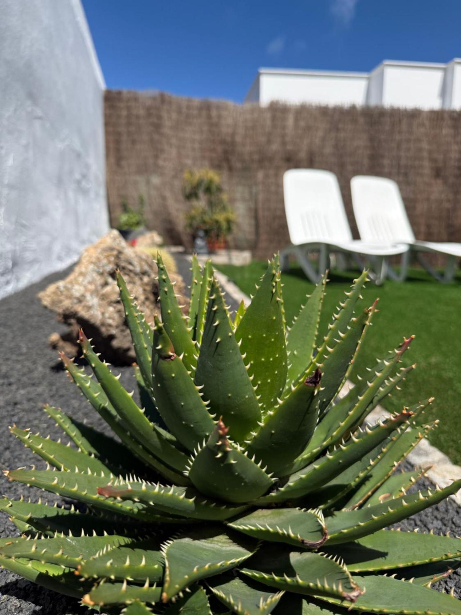 Casa Cira Apartman La Costa Kültér fotó